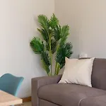 Masa Holidays House Vatican Roma